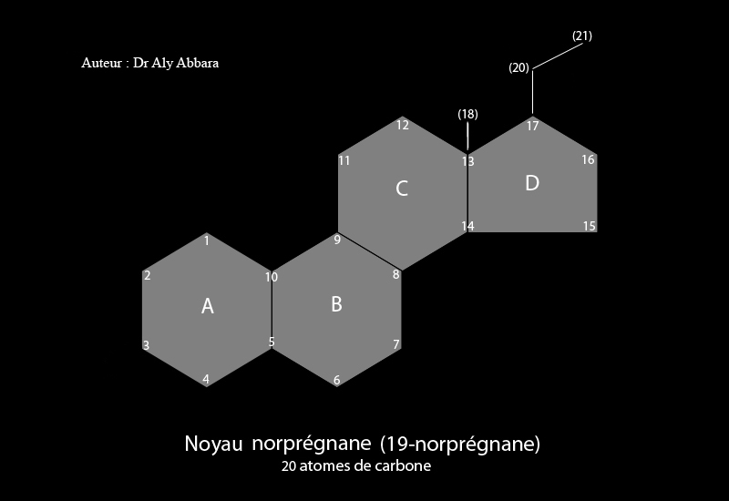 Noyau de norprégnane
